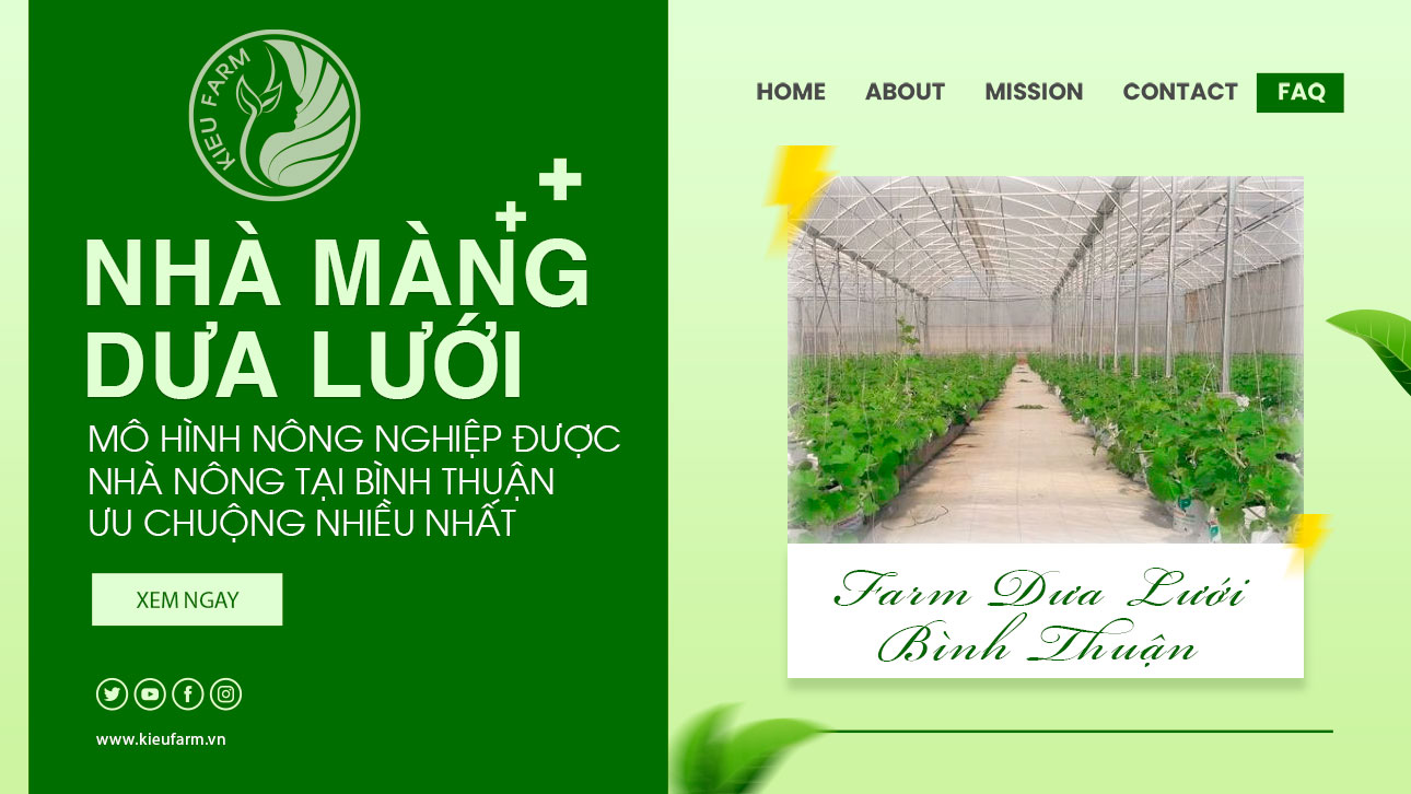 Mô hình trồng dưa lưới trong nhà màng lần đầu tiên xuất hiện ở Đức Thọ #30 Mô hình trồng dưa lưới trong nhà màng lần đầu tiên xuất hiện ở Đức Thọ